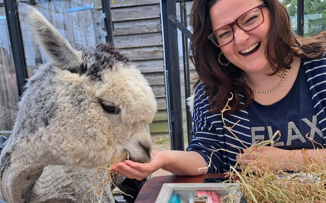Alpaca Eco Farm High Tea