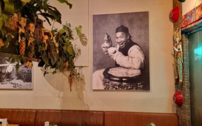 Rijp voor het gesticht?